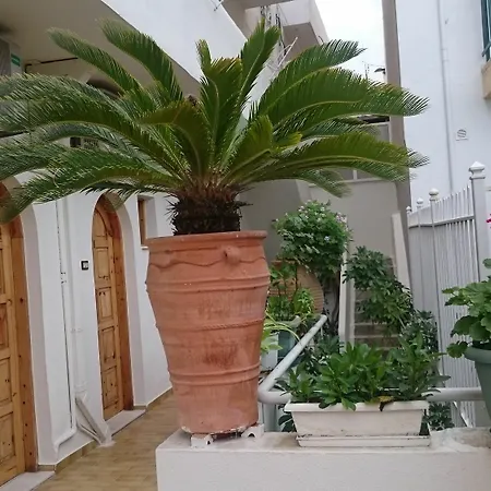 Hotel Lovely Holidays Hersonissos (Crete)